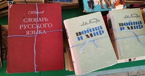 На Волыни собирают русскую литературу — книги переделают на туалетную ...