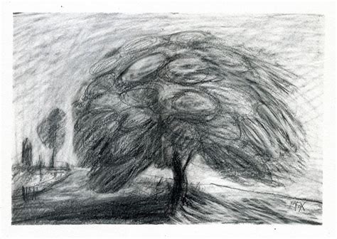 TREE in the WIND Tree Drawing Fine Art Pencil Drawing - Etsy