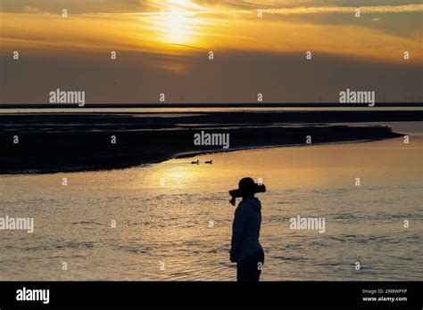 Silhouette Of Woman Watching The Sunset Hi Res Stock Photography And