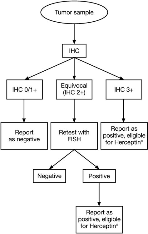 HER2 testing algorithm. | Download Scientific Diagram