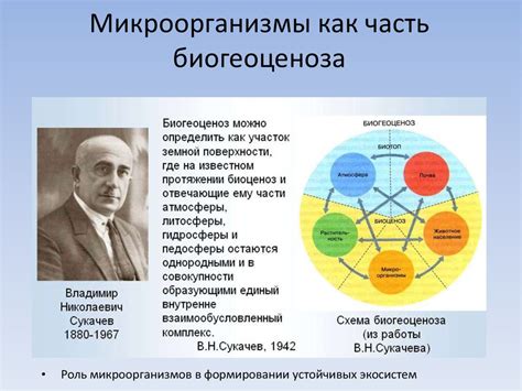 Микробиологические препараты для защиты растений. Бактериальные ...