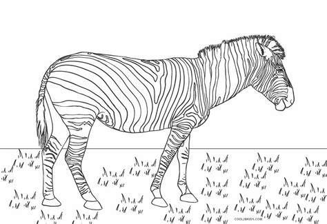 Desenhos de Zebras para colorir Páginas para impressão grátis