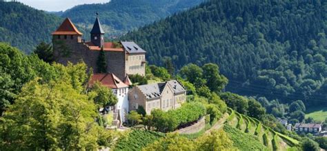 3 Best Castle Hotels In Black Forest, Germany - Updated 2024 | Trip101