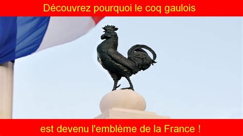 Pourquoi Le Coq Gaulois Est Devenu L Embl Me De La France