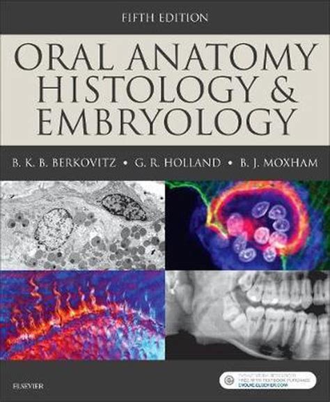 Oral Anatomy Histology And Embryology 9780723438120 Barry K B