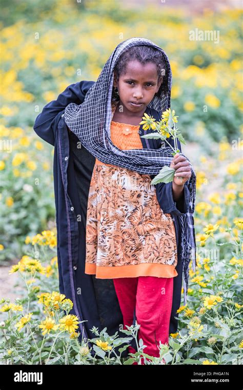 Of Eritrea Stockfotos Und Bilder Kaufen Alamy