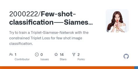 Few Shot Classification Siamese Networks Triplet Loss Siamese