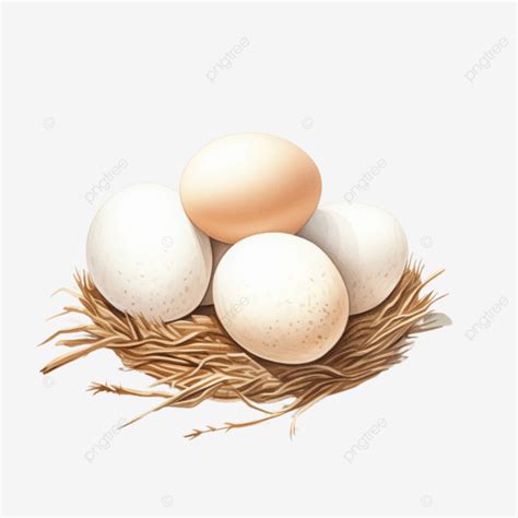 Huevos De Gallina Blancos De Color Plano Png Huevos Gallina Blanco