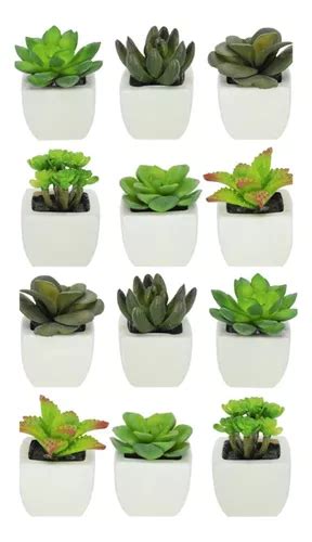 Kit Suculentas Plantas Artificiais Mini Vasinho Sortida Frete Gr Tis