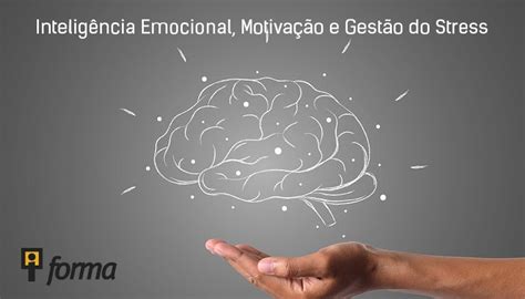 Intelig Ncia Emocional Motiva O E Gest O Do Stress Iforma