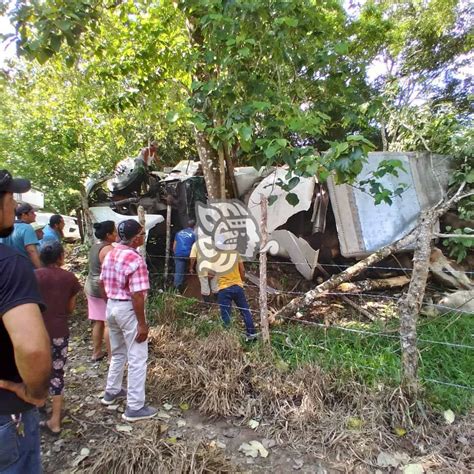 Cami N Cargado De Ganado Vuelca En La Carretera Estatal