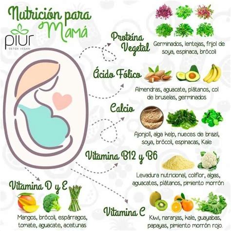 Pin de Amaya Trejo en Educación para la salud en 2024 Nutrición