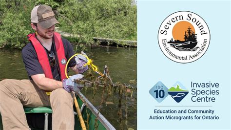 Invasive Species Centre Microgrant Feature The Severn Sound Invasive Species Spotters