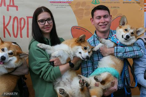 На белгородский парад корги пришла собака-фея и мэр в костюме моряка ...