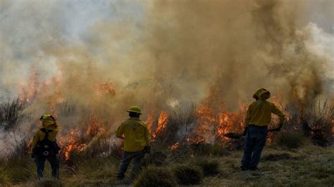 Incendios forestales en México repórtalos a la Conafor UnoTV