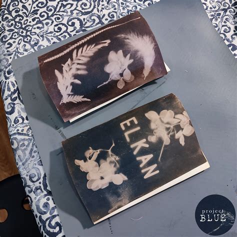 Cyanotype on Paper – ProjectBlue Cyanotype Singapore | Dedicated ...