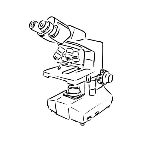 Microscope Vector Sketch Vector Art At Vecteezy