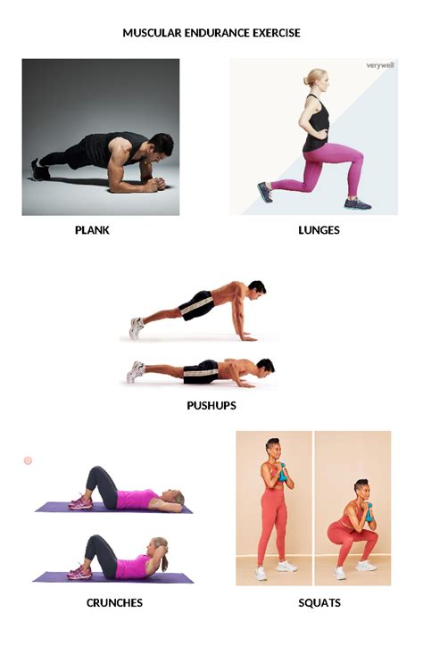 Muscular Endurance Exercise - Social Phycology - MUSCULAR ENDURANCE