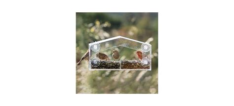 Best window bird feeder | WGNO