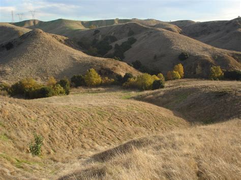 Chino Hills State Park – CHSP Interpretive Association