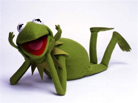 Kermit The Muppets Wallpaper Fanpop