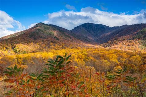 Mount Leconte Fall | Great Smoky Mountains National Park | Ed Fuhr Photography