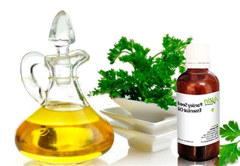 Масло петрушки: применение в косметологии - AgroFlora.ru