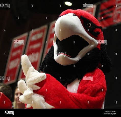 University of miami mascot hi-res stock photography and images - Alamy