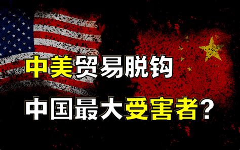 中美贸易脱钩，中国竟是最大受害者？如何影响全球经济？ 认知金字塔 认知金字塔 哔哩哔哩视频