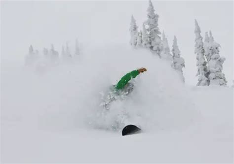 Revelstoke Cat Skiing | Revelstoke Cat Ski | Powder Skiing