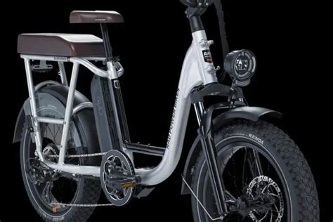 Got a Companion? Best Electric Bikes with Passenger Seat (Adult, Child ...