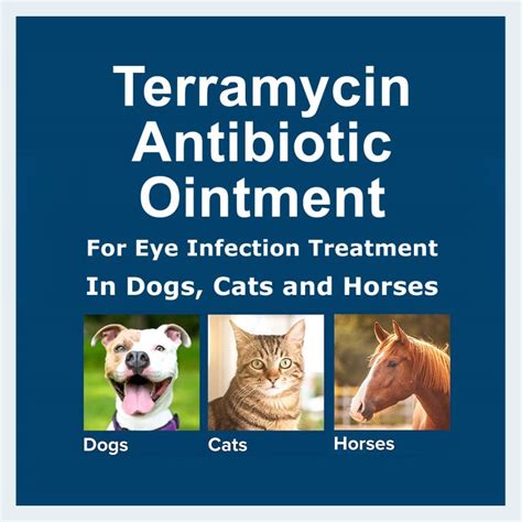 Terramycin Eye Ointment for Dogs & Cats - Free UK Delivery | Pet Meds Online