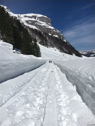 Noch Viel Schnee Beim Sali Fotos Hikr Org