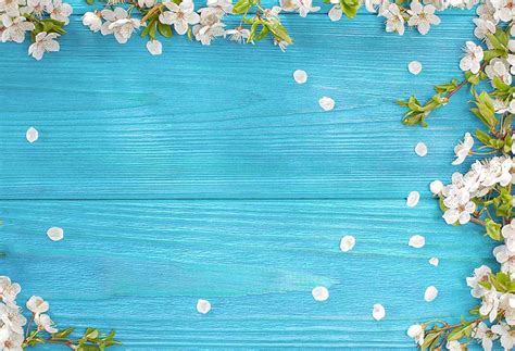 background biru bunga  koleksi gambar