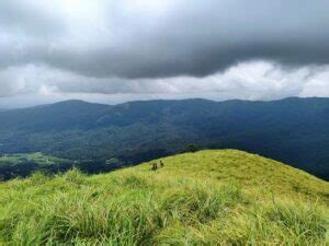 Best Things To Do At Wayanad Safari Kerala