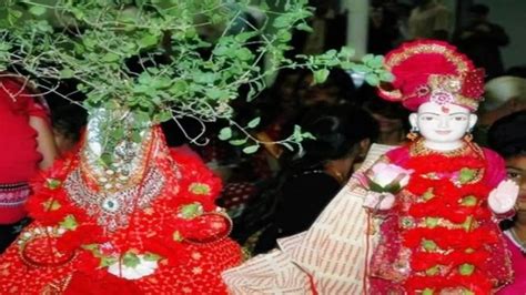 Tulsi Vivah 2022 Puja Vidhi Muhurat Puja Samagri Vrat Katha Tulsi