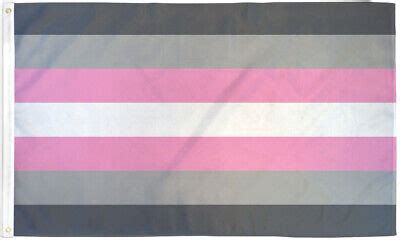 Demi Girl Flag 3x5ft LGBTQIA Pride Flag LGBT Demigirl Flag 100D | eBay