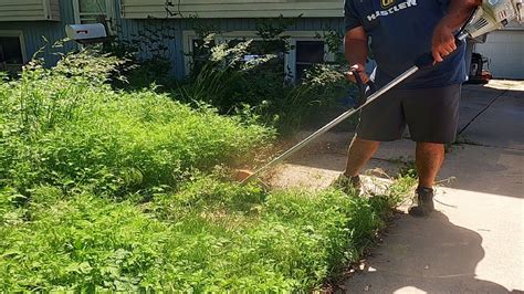 FREE OVERGROWN YARD CLEANUP Homeowner Needed Some Help YouTube