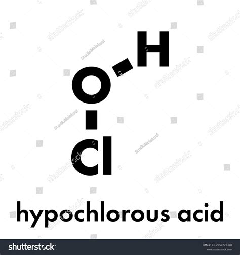 Hypochlorous Acid Hclo Disinfectant Molecule Formed Stock Vector