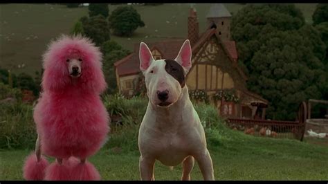 Babe Pig In The City 1998