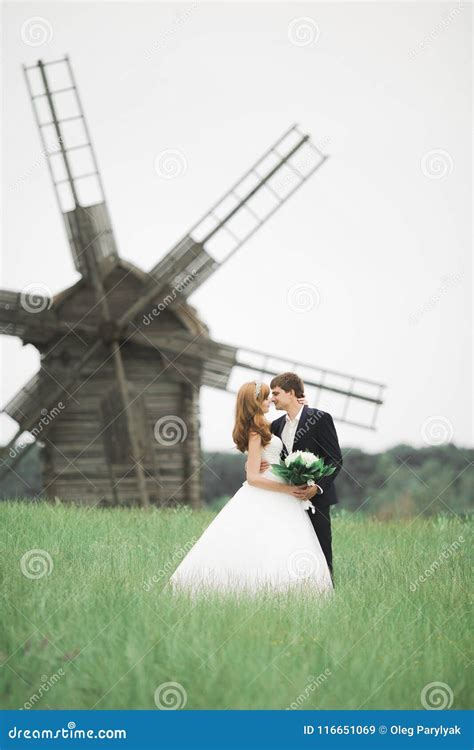 Lovely Wedding Couple Bride And Groom Posing In Field During Sunset