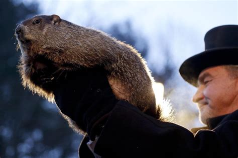 Giorno Della Marmotta Cos E Cosa Dice Sul Meteo