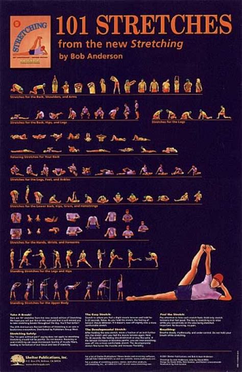 Stretching 8 Great Exercise Posters To Buy Online 7 Standards Of