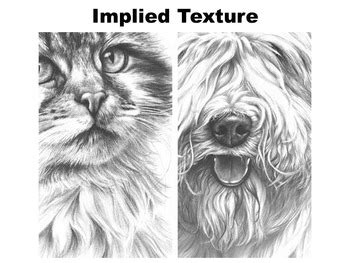 Texture Implied Vs Actual Power Point Presentation Lesson Introduction