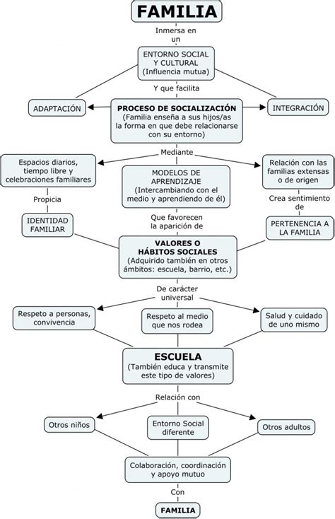 Cuadros Sinópticos Sobre La Familia Y Sus Variantes Cuadro Comparativo