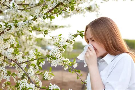 Alergia En Los Ojos Causas Tratamientos Y Consejos