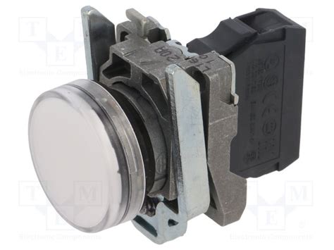 XB4BVB1 Schneider Electric - Datasheet PDF & Technical Specs