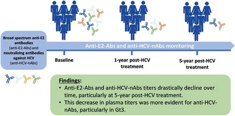 Sustained Long Term Decline In Anti Hcv Neutralizing Antibodies In Hiv