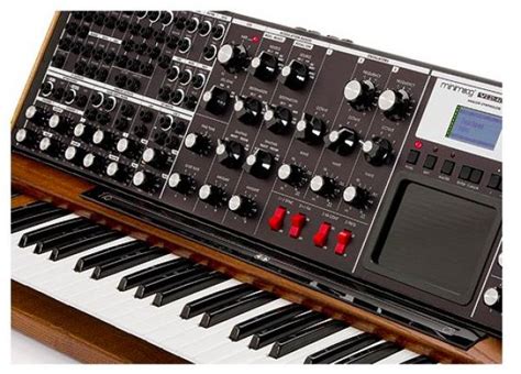 Moog Minimoog Voyager XL Synthesizer