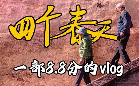 豆瓣88，1500块拍的vlog，最好的中国家庭纪录片代表作《四个春天》！ 椒盐说影 椒盐说影 哔哩哔哩视频